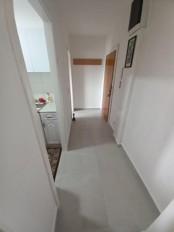 Studio Paun Podgorica Eksteriør billede